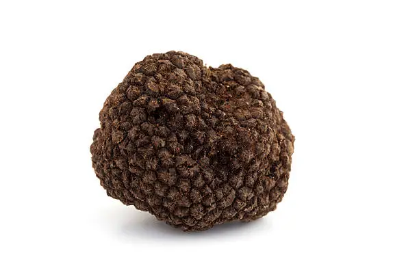 close-up of a black truffle