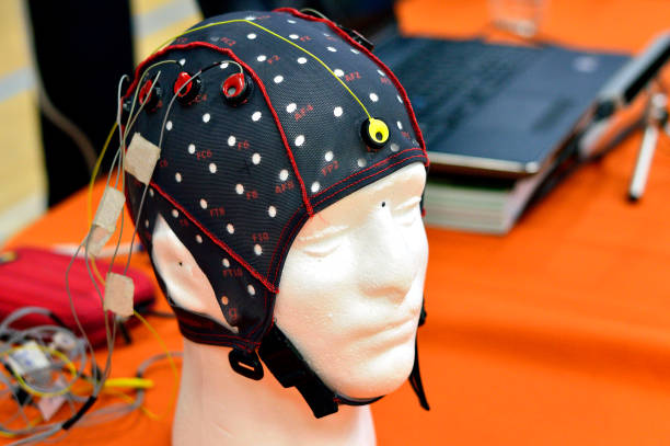 EEG Head Cap with Electrodes Placed on White Head Model stock photo