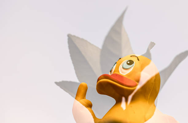 istock Portraits of yellow rubber duck 1213075903