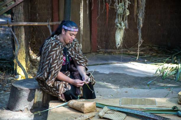 New Zealand: Maori Traditions A Maori woman demonstrates the tradition of weaving in front of a recreation of a typical Maori house from pre-European times. maori weaving stock pictures, royalty-free photos & images
