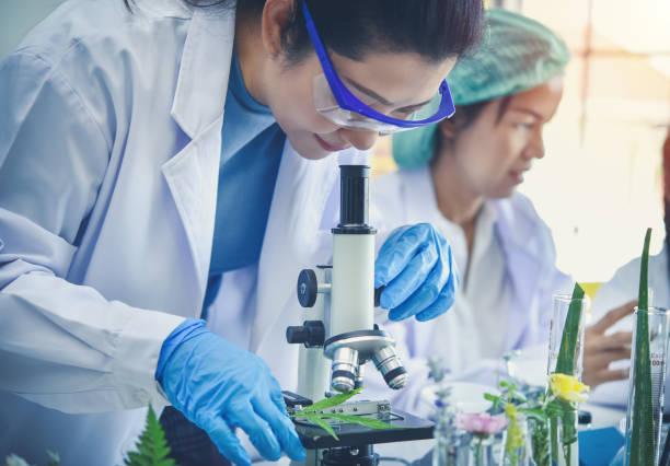 istock asia woman scientist looking through a microscope in a laboratory 1213079146