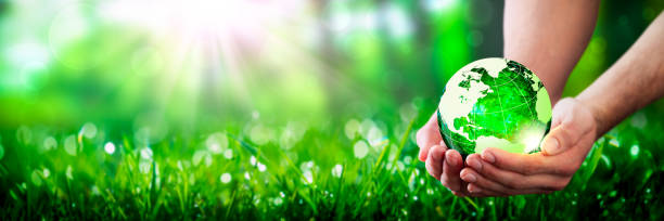 Hands Holding Crystal Earth In Lush Green Environment
