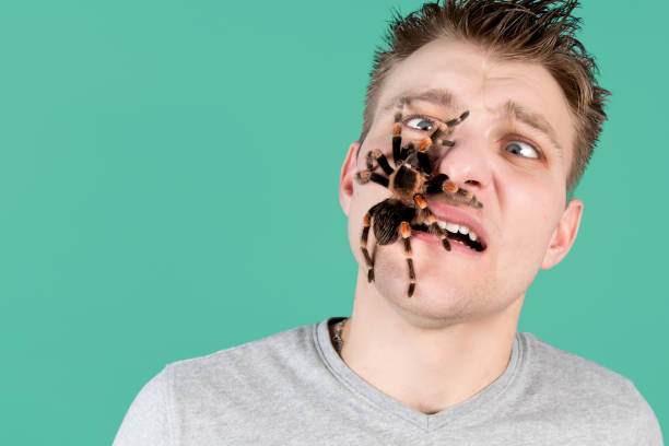 The man is quietly horrified that a huge spider is crawling across his face, Green background, isolated