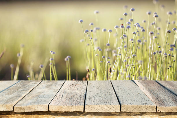 istock Wooden textile front view with purple flower nature background 1213087600