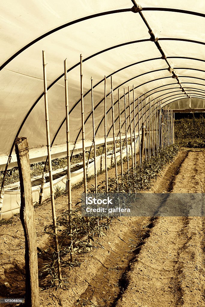 Estufa - Royalty-free Agricultura Foto de stock