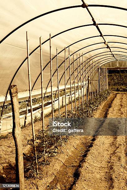 Estufa - Fotografias de stock e mais imagens de Agricultura - Agricultura, Crescimento, Dentro