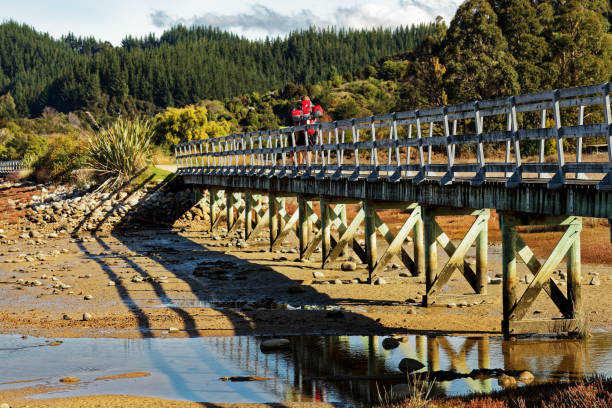 un escursionista su una strada rialzata che lascia l'abel tasman coastal track, in nuova zelanda. - abel tasman foto e immagini stock