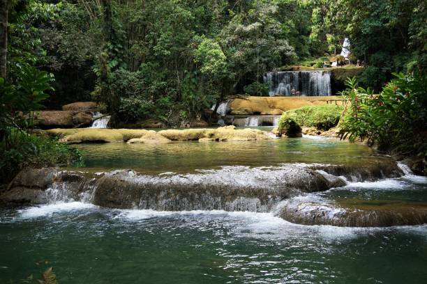 ямайские водопады - waterfall tropical rainforest water jamaica стоковые фото и изображения