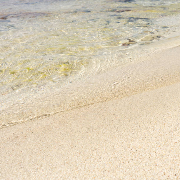 istock Close up of water  at the beach 1213092974