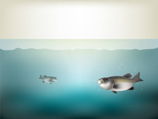istock beautiful realistic graphic design of fish into the sea under water 1213093003