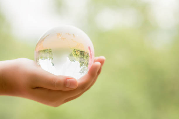 istock Hands Holding Globe Glass In Green Forest 1213094016
