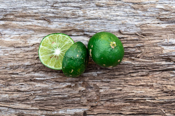 istock Citrus reticulated in nature 1213102393