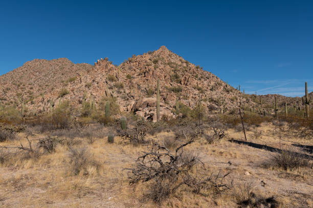 istock Arizona Desert Scene 1213103625