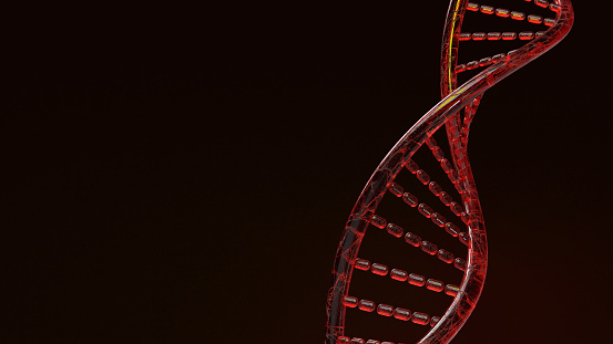 The red Dna 3d rendering on black background for science content.
