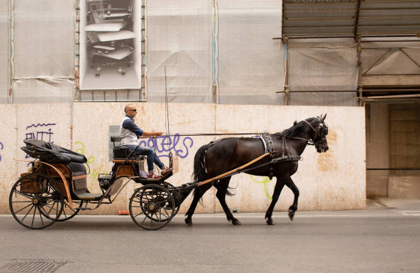 Florence, Italy, June 2, 2019: View of a  horse drawn carriage being driven through the streets of Florence, Italy