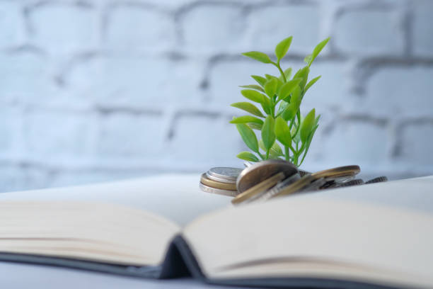 istock Coin stack with young green plant on top. Business success 1213115259