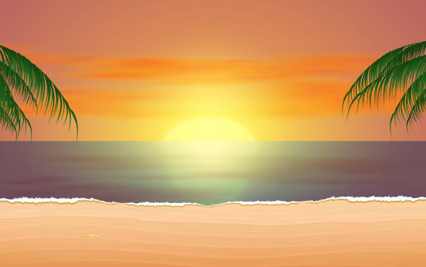 ilustraciones, imágenes clip art, dibujos animados e iconos de stock de piscina puesta de sol - sand beach summer backgrounds