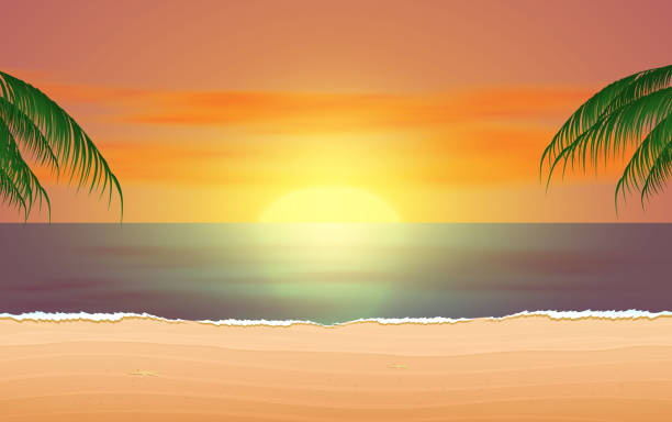 pool sunset landscape of the beach in sunset beach stock illustrations