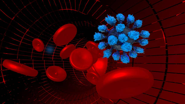 コルナウイルスウイルス covid-19 および血小板動脈 血小静脈赤血漿流 -3d レンダリング - human blood vessel human cardiovascular system cell blood cell ストックフォトと画像