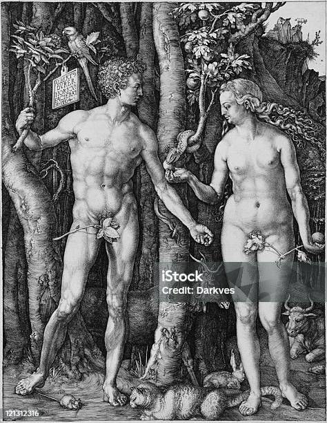 Albrecht Direr Adam Und Eva Stock Vektor Art und mehr Bilder von Alt - Alt, Illustration, Schlange - Kriechtier