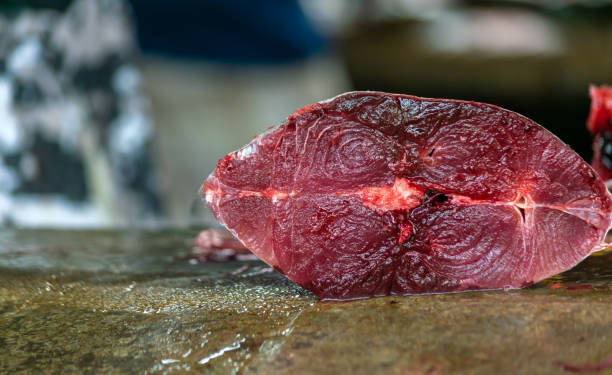 close up view of cut tuna fillet on counter top at street market, copy space. - tuna steak tuna prepared ahi meat imagens e fotografias de stock