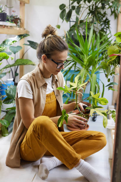 istock Florist caring about flowers 1213127221
