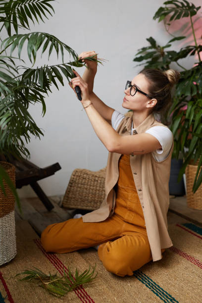 istock Woman cutting old branch 1213127312