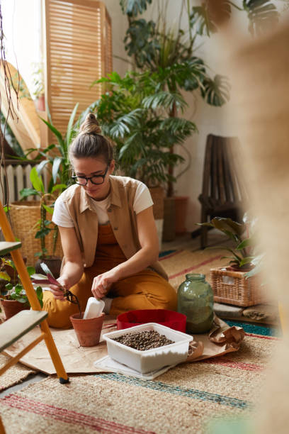 꽃집 심기 식물 - gardening women people planting 뉴스 사진 이미지