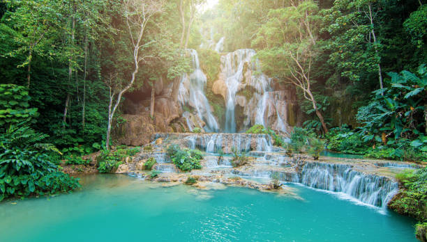 landscape of tad kiang is weather fall at luang pra bang north of laos,beautiful and famous travel destination of lao. - awe beauty in nature waterfall cool imagens e fotografias de stock