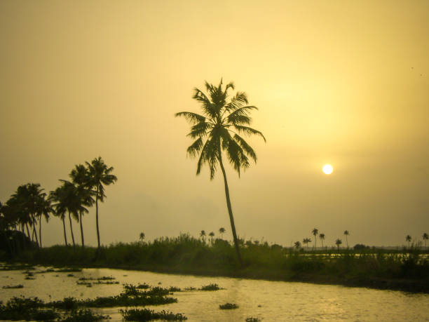 famous vembanad lake, a backwater in Alleppey, Kerala