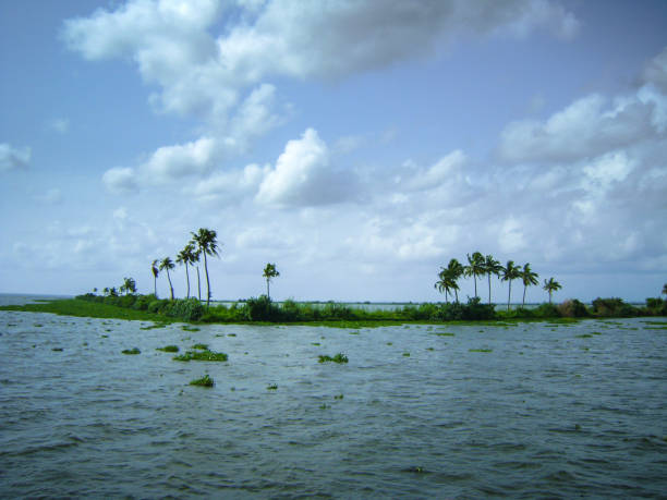 istock Alleppey backwaters in Kerala 1213130086