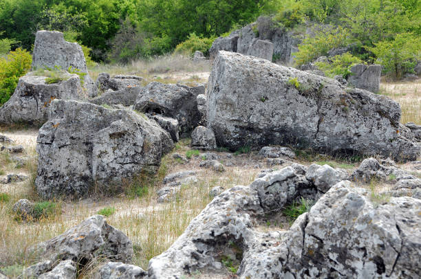 istock Stone forest Pobiti Kamani in May 1213136745