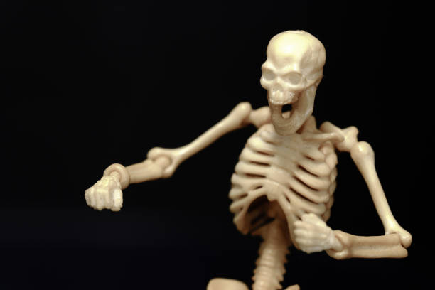 istock closeup view Isolated plastic toy skeleton on black background 1213138420