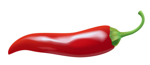 Hot chili pepper. Red ripe. Spicy. Vevtor red bell pepper stock illustrations