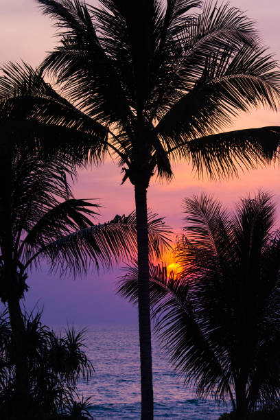 istock Dramatic beautiful sunset twilight sky with sun of tropical climate. 1213140329