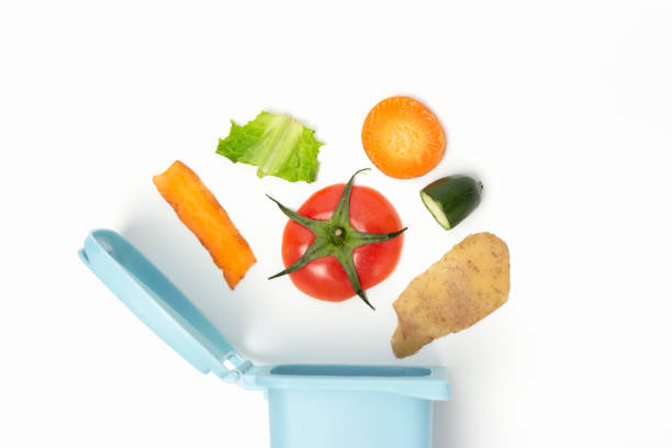 istock Organic waste and trash can on white background close-up 1213142222
