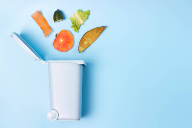 istock Organic waste and trash can on blue background, copy space 1213142223