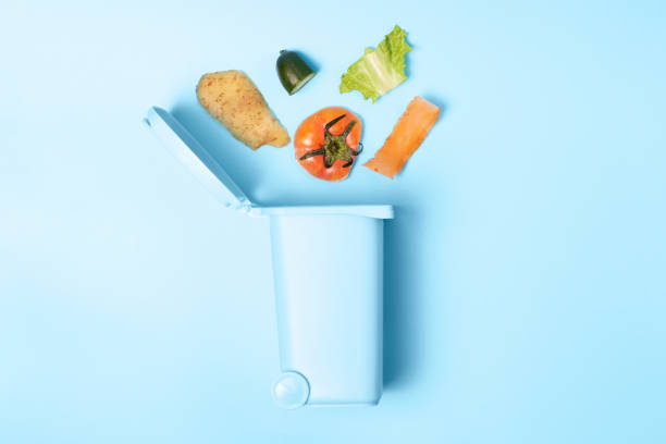 istock Organic waste and trash can on blue background, the concept of garbage sorting 1213142245