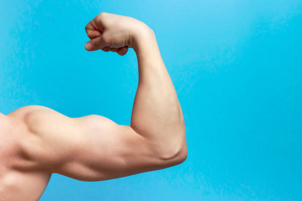 braccio maschile con grandi muscoli primo piano, vista posteriore, sfondo blu - human muscle human arm bicep muscular build foto e immagini stock