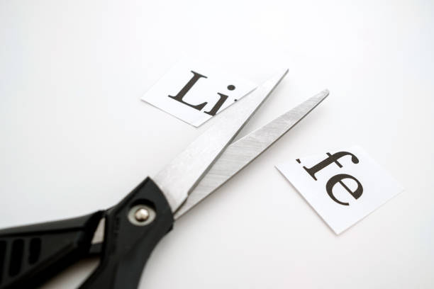 istock on a white background, the word life is cut with scissors 1213145065