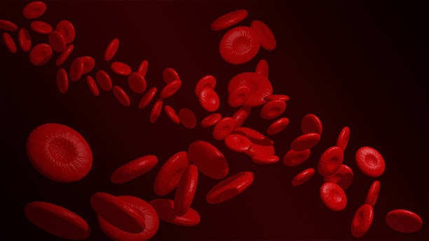istock Human red blood cells close up. 3d rendering 1213146928