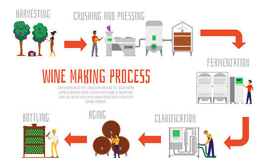 Wine making process banner template - isolated set of steps from grapes to alcohol beverage using winemaking equipment. Information poster - flat vector illustration.