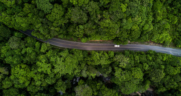 鳥瞰瀝青路與綠色森林，森林路穿行森林，從上面看汽車冒險景觀，從生態系統和生態健康環境的概念和背景。 - road 個照片及圖片檔