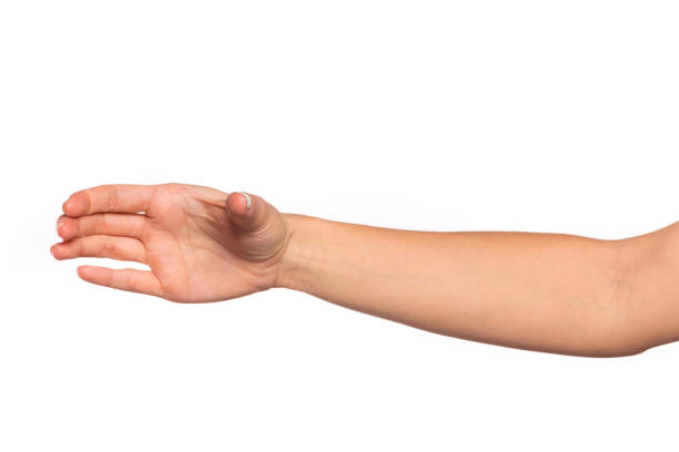 istock female hand isolated on white background showing hand gestures 1213152855