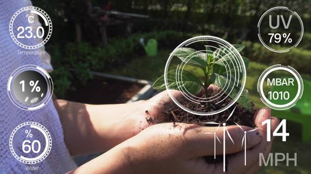 istock Smart digital agriculture technology by futuristic sensor data collection 1213159333