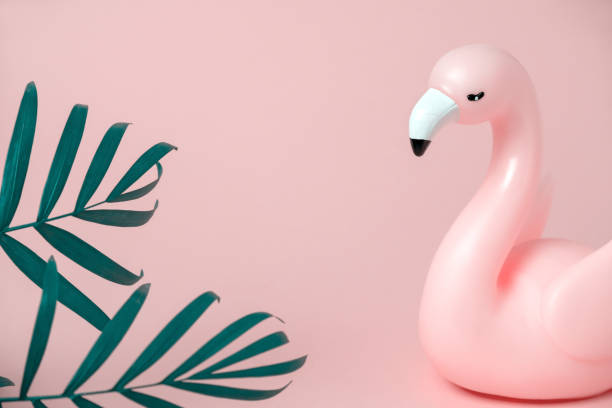 istock flamingo and palm leaves  frame pink background copy space 1213164192