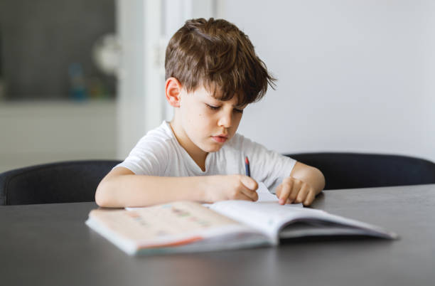 istock Portrait of schoolboy doing a homework 1213164254