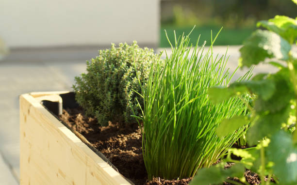 istock handmade herbal raised bed on a balcony 1213172673