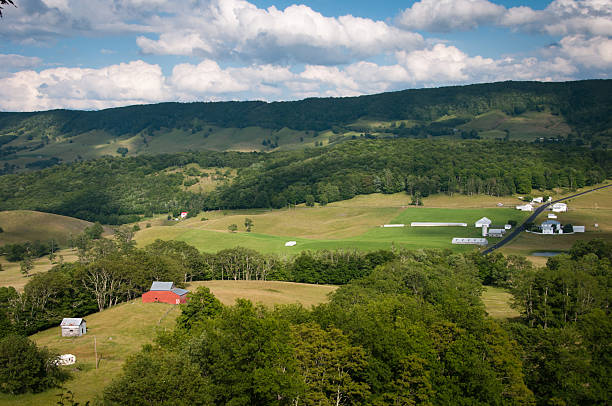 one white house located in a green field with a forest in the background.