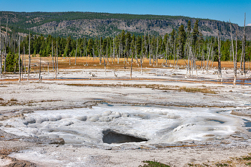 Yellowstone Geyser erupts at Yellowstone National Park in the northwest corner of Wyoming, USA.Nikon D3x